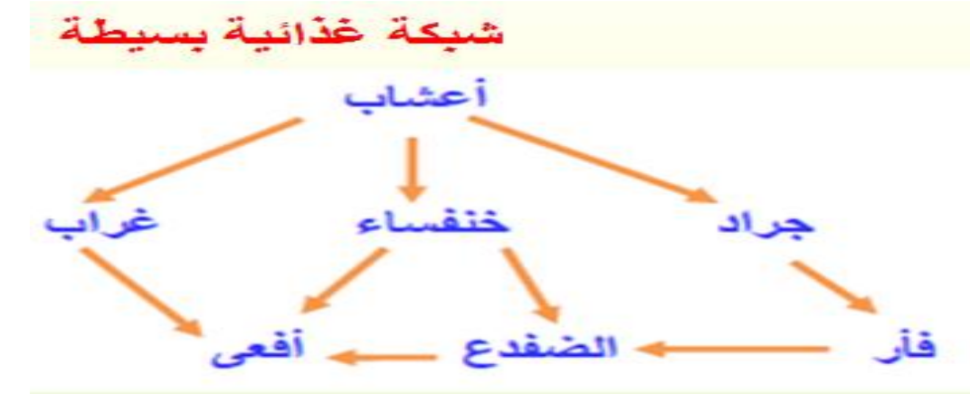 حل كتاب علم البيئة