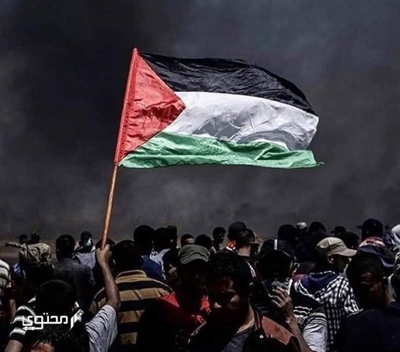 أجمل صور علم فلسطين 2025 خلفيات العلم الفلسطيني.. تُعبر عن صمودها ورفع رايتها بين الدول