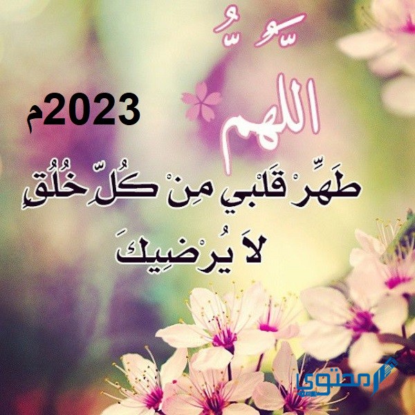 بوستات 2023