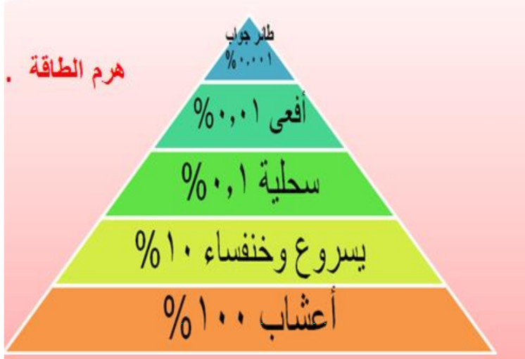 حل كتاب علم البيئة