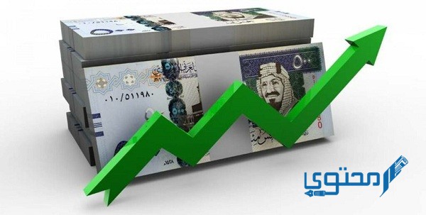 شروط الاستثمار في السعودية للمقيمين 