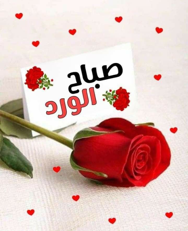 صور صباح الفل جديدة