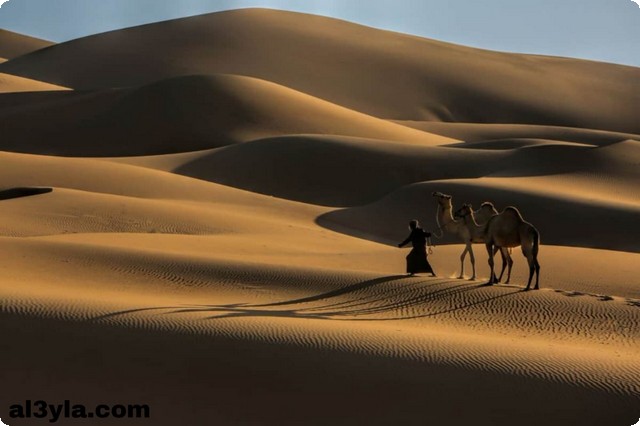 أصل عائلة الوادعي