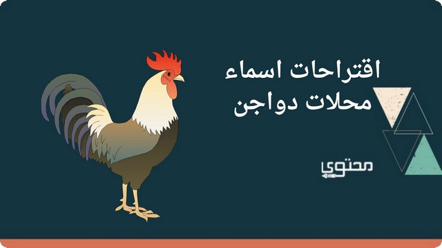 اسماء محلات دواجن