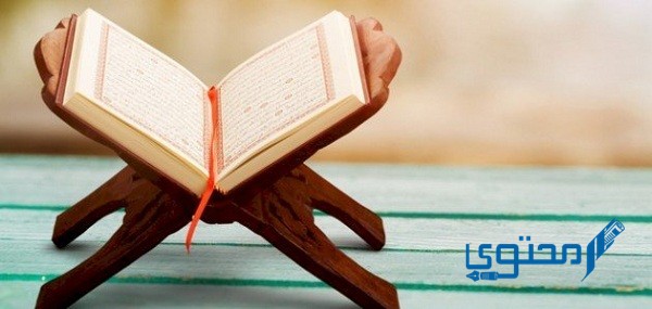 تفسير قول الله تعالى محصنات غير مسافحات ولا متخذات أخدان