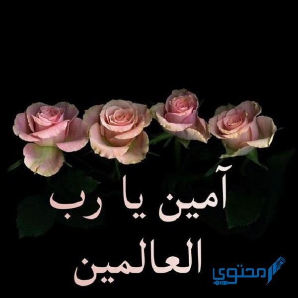 الرد على عمرة مقبولة