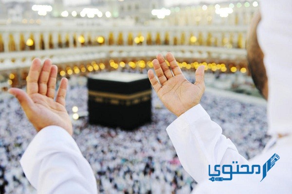 صحة حديث خير الدعاء دعاء يوم عرفة