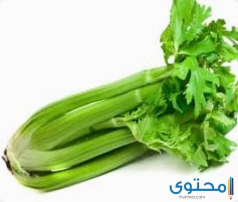 تفسير رؤية الكرفس في المنام لابن سيرين والنابلسي