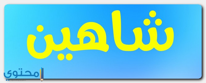 معنى اسم شاهين وصفاته (Shahin)