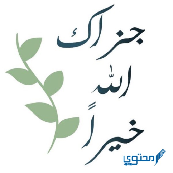 الرد على عمرة مقبولة