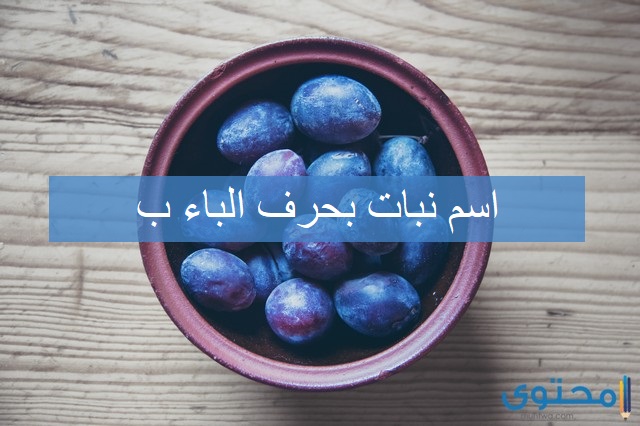 نبات بحرف الباء