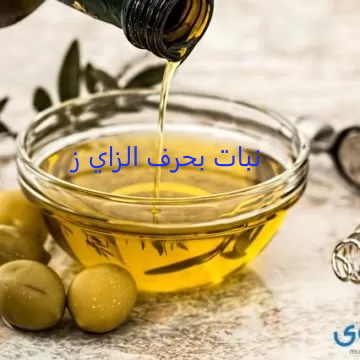 اسم نبات بحرف الزاي ز