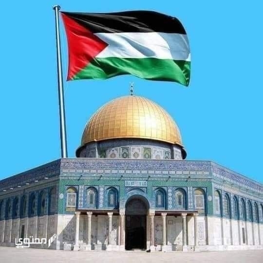 أجمل صور علم فلسطين 2025 خلفيات العلم الفلسطيني.. تُعبر عن صمودها ورفع رايتها بين الدول