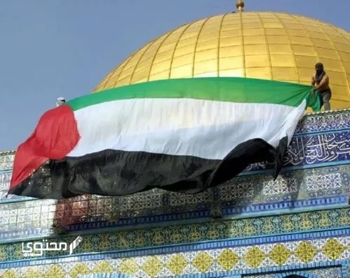 صور علم فلسطين