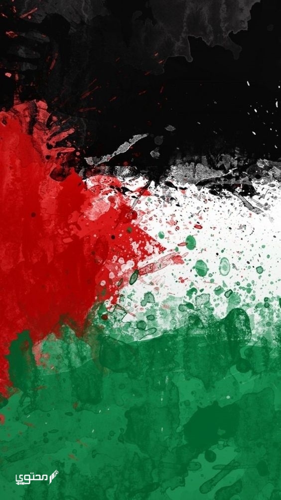 أجمل صور علم فلسطين 2025 خلفيات العلم الفلسطيني.. تُعبر عن صمودها ورفع رايتها بين الدول