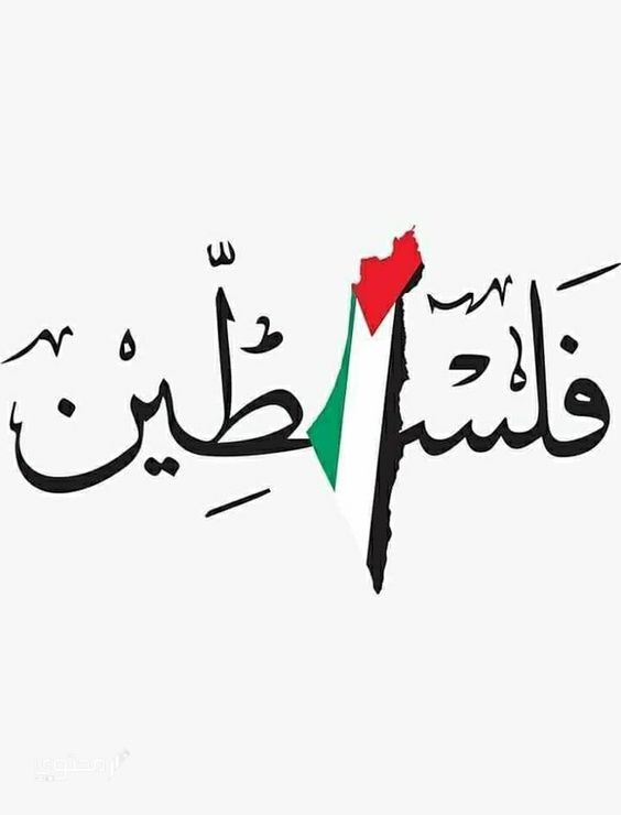 أجمل صور علم فلسطين 2025 خلفيات العلم الفلسطيني.. تُعبر عن صمودها ورفع رايتها بين الدول