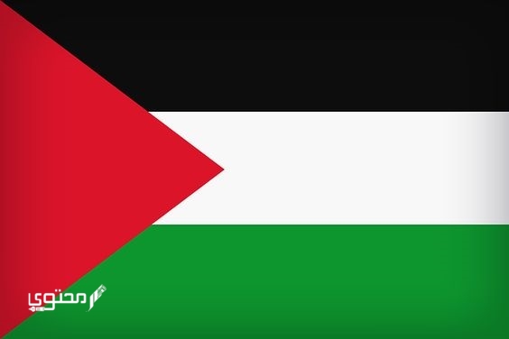 أجمل صور علم فلسطين 2025 خلفيات العلم الفلسطيني.. تُعبر عن صمودها ورفع رايتها بين الدول