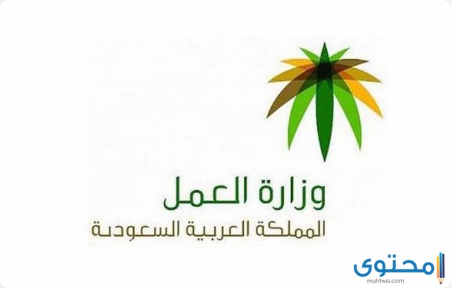 رابط استعلام إعانة التأهيل الشامل برقم الهوية