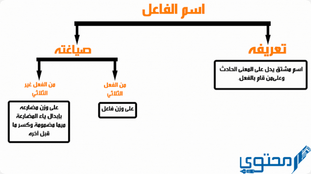 استخراج اسم الفاعل من الفعل