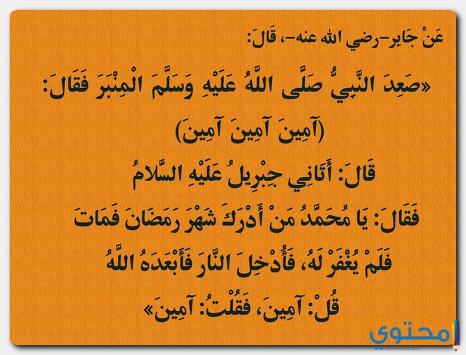 الافلام الاباحية 