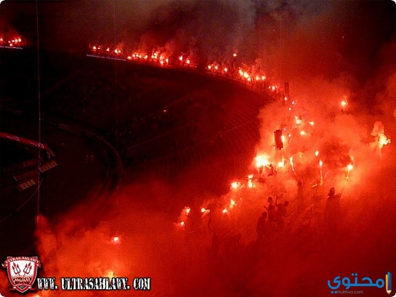 صور جماهير النادي الاهلي المصري خلفيات جمهور Ahly SC