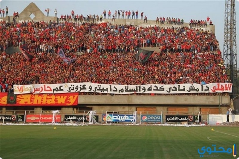 صور جماهير النادي الاهلي المصري خلفيات جمهور Ahly SC