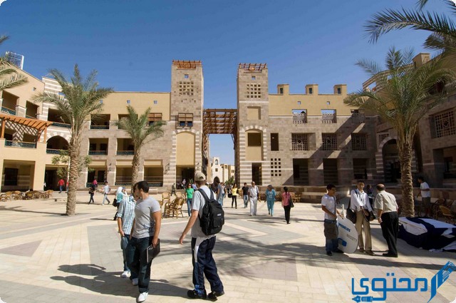 الجامعة الأمريكية