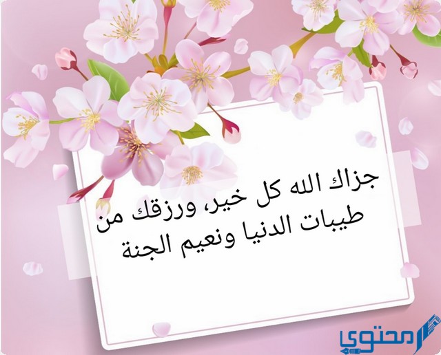 الرد على ما قصرت