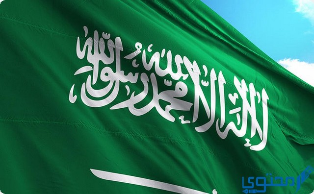 السعودية في الناتج المحلي العالمي