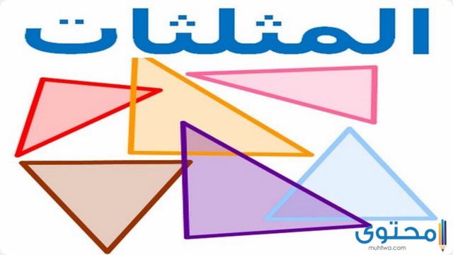 بحث عن المثلثات المتشابهة