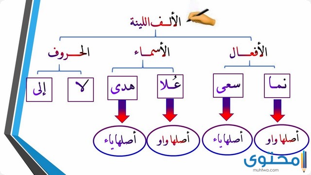 الألف المتطرفة.. بحث عن الالف المتطرفة