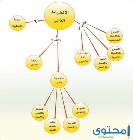 بحث عن الانضباط الذاتي 