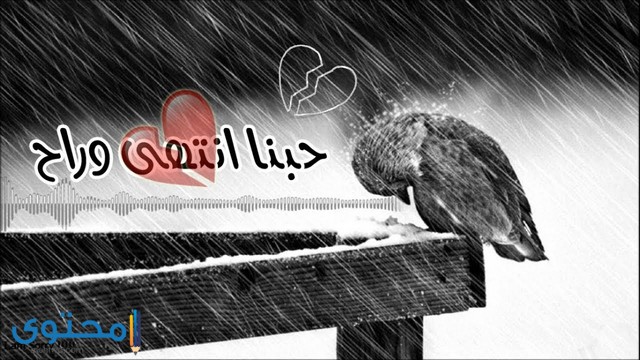 رمزيات انستقرام منوعة متجدده