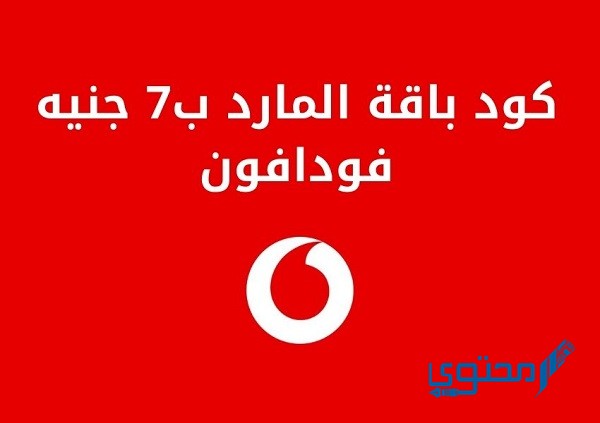 تحويل كارت المارد من دقائق لنت بعد الشحن