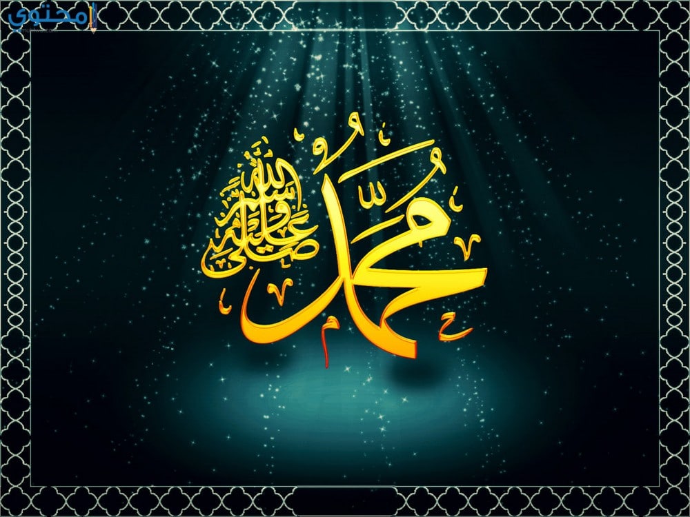 أحدث صور المولد النبوي 