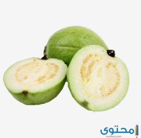 شراب جوافة (Guava) دواعي الاستخدام والجرعة