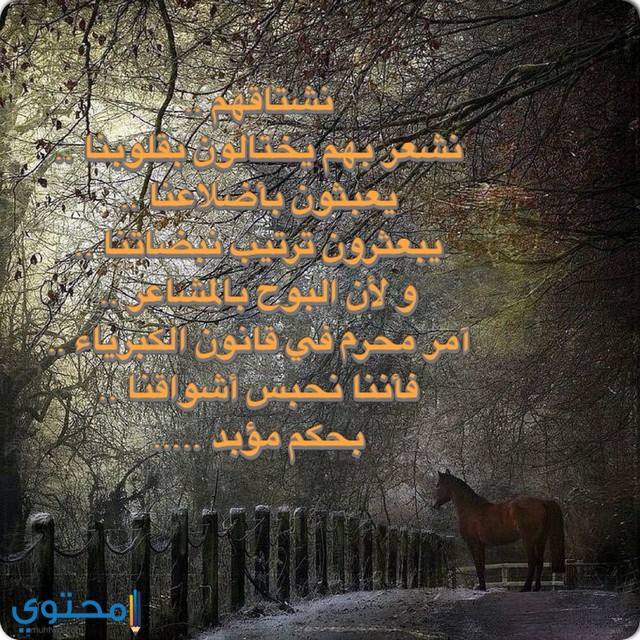 حالات واتس اب حزينة