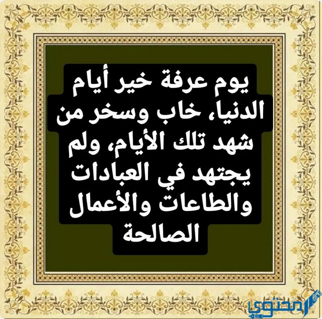 حالات يوم عرفة