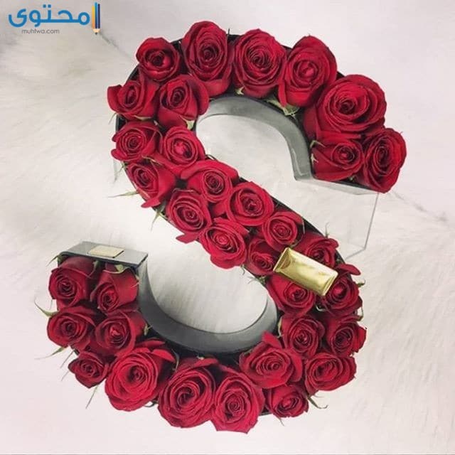 حرف s مع ورد