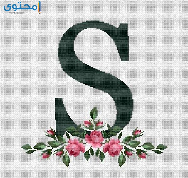 حرف s جديد