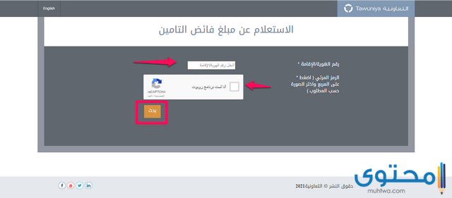 مبلغ فائض التأمين 