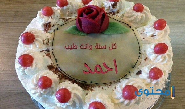 صور تهنئة عيد ميلاد سعيد 2025 خلفيات عيد ميلاد (Happy Birthday)