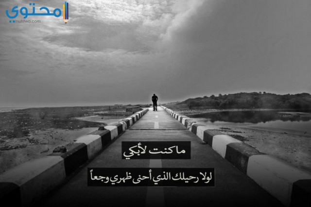 اجمل الصور خلفيات واتس اب