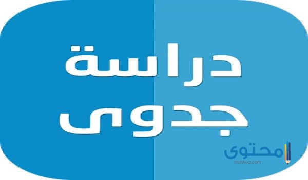 دراسة جدوى مشروع صغير وناجح وغير مكلف للبنات