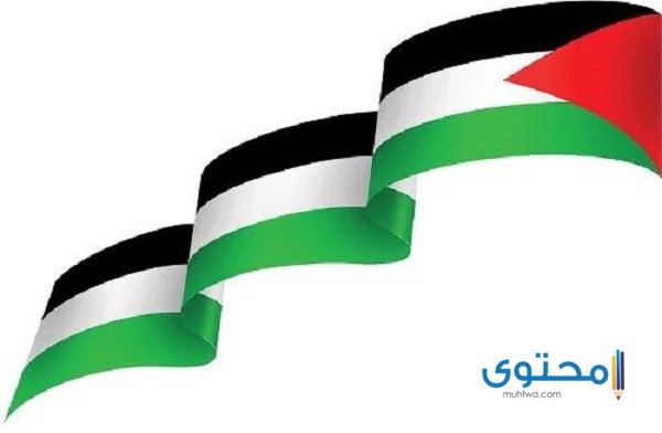 رسومات علم فلسطين للتلوين