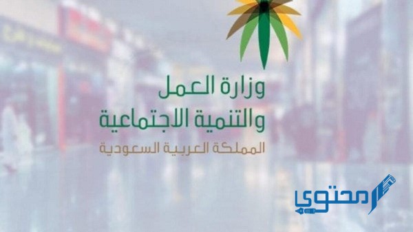 رقم التأهيل الشامل استعلام