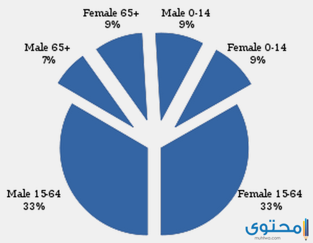 سكان بريطانيا