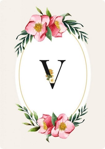 letter v