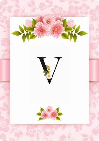 letter v