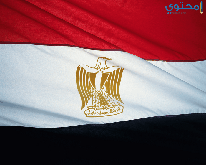 صور علم مصر 2025 بجودة عالية HD (العلم المصري)